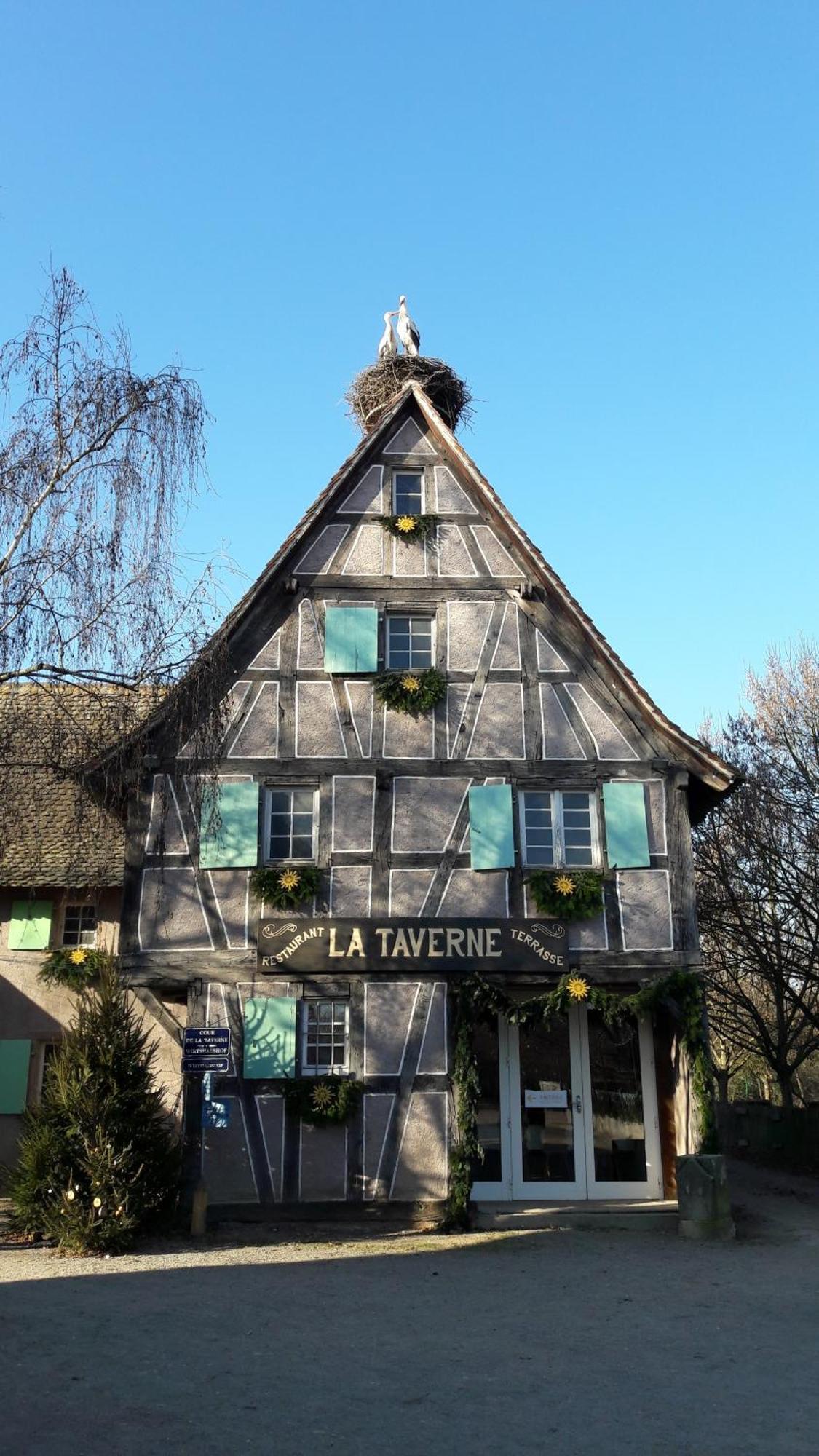 Les Loges De L'Ecomusee D'Alsace Ungersheim Ngoại thất bức ảnh