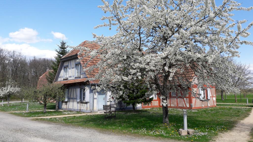 Les Loges De L'Ecomusee D'Alsace Ungersheim Ngoại thất bức ảnh